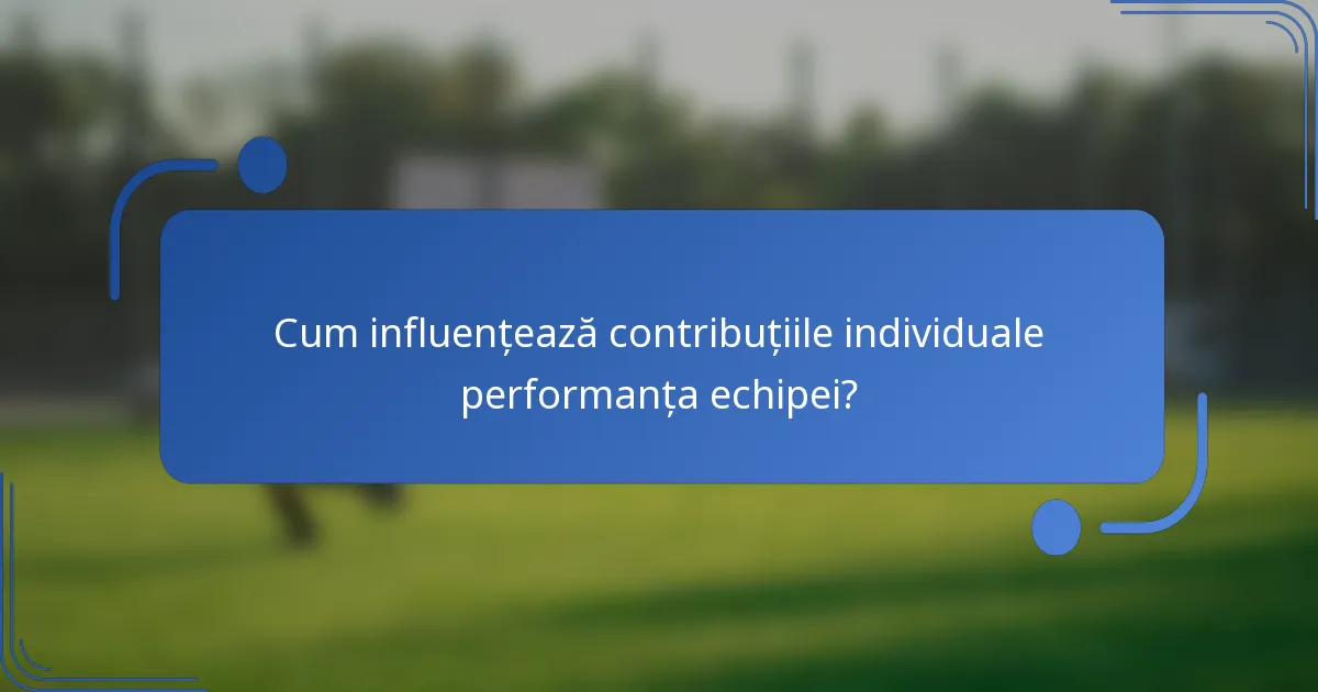 Cum influențează contribuțiile individuale performanța echipei?