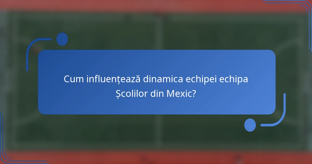 Cum influențează dinamica echipei echipa Școlilor din Mexic?