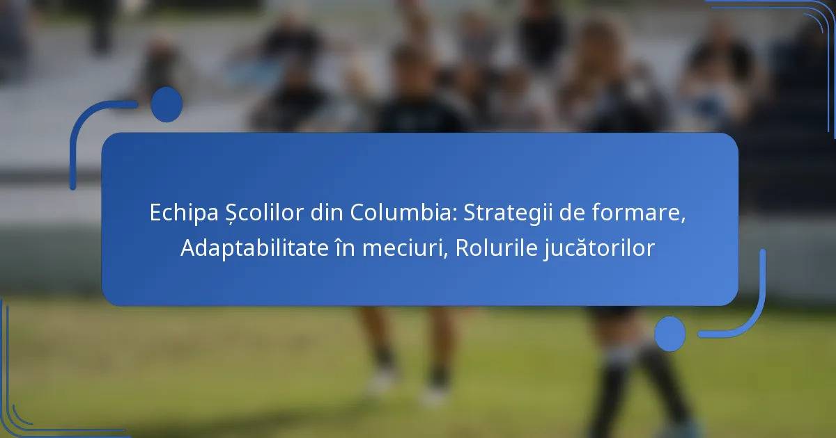Echipa Școlilor din Columbia: Strategii de formare, Adaptabilitate în meciuri, Rolurile jucătorilor